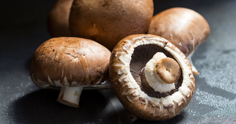 Warm Mushroom Salad